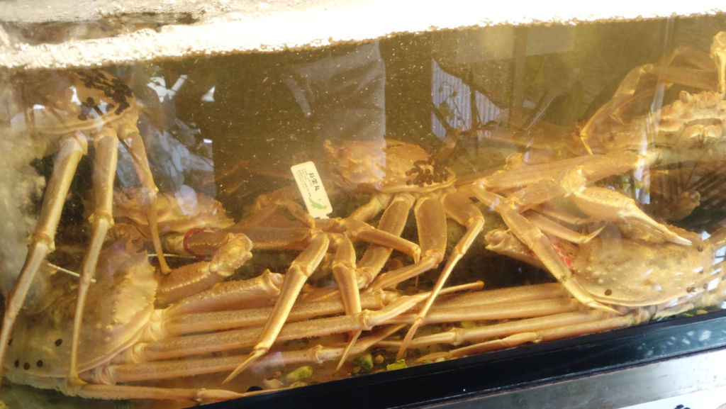 活カニのコース